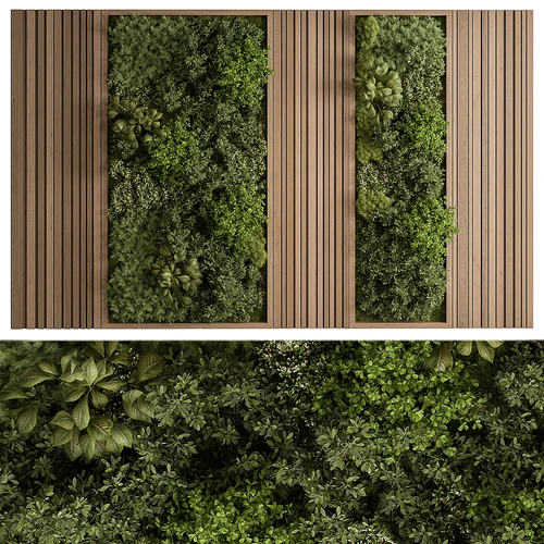 现代植物墙 绿植墙