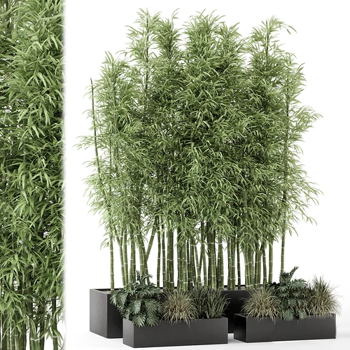 现代植物造景