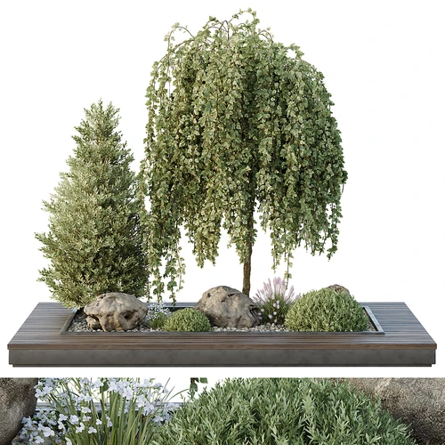 现代植物造景