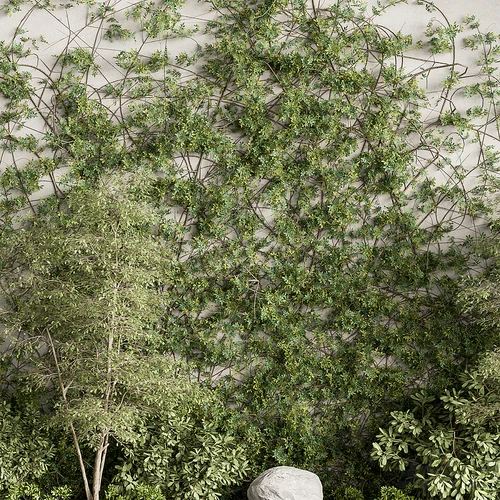 现代植物景观