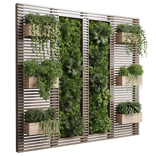 现代植物墙