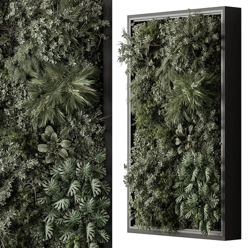 现代植物墙