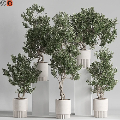 植物收藏 735