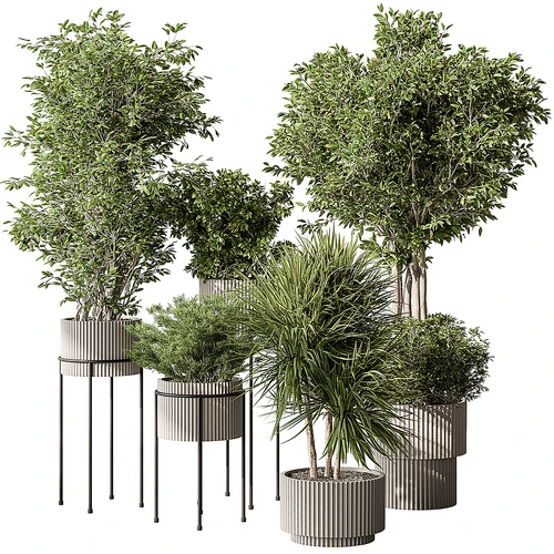现代植物盆栽组合