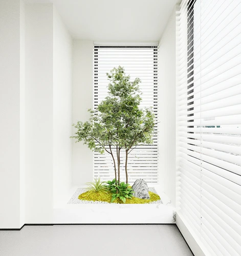 盆栽  花坛 花池 室内绿植  植物