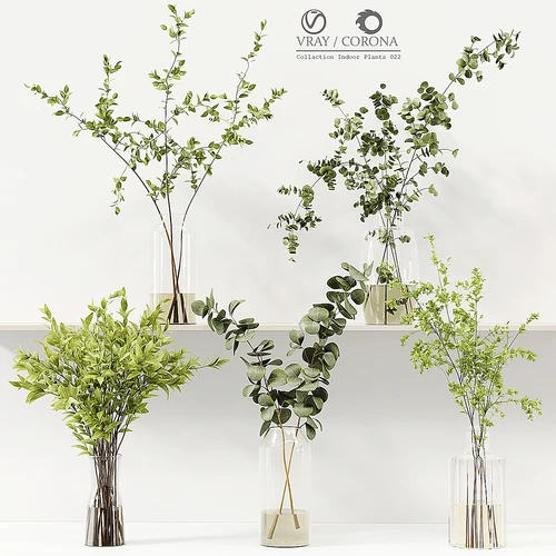 收藏室内植物 022