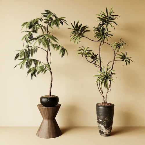 中古风绿植盆栽