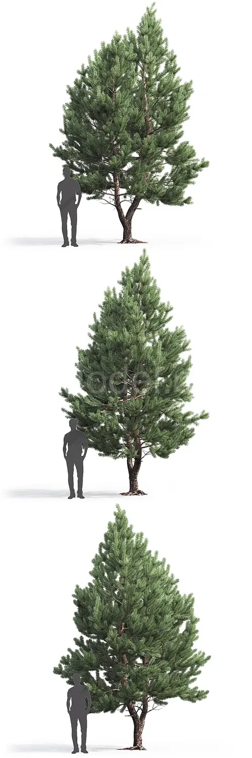 img2