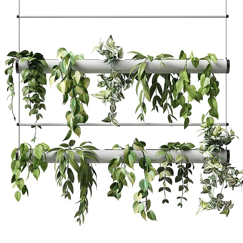 现代植物吊灯