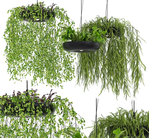 现代植物吊灯