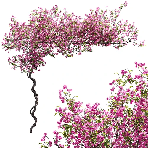 现代藤蔓花架