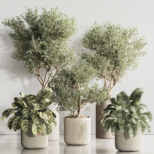 现代绿植盆栽组合
