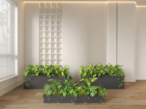 现代植物堆
