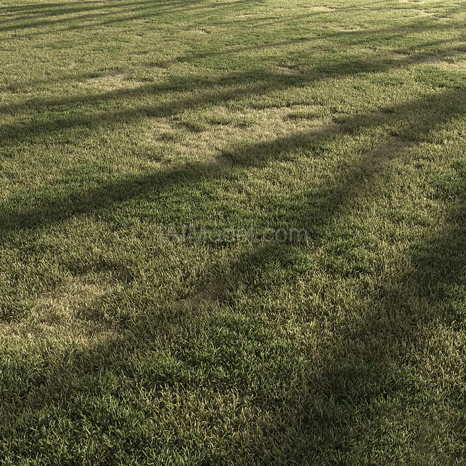 img1