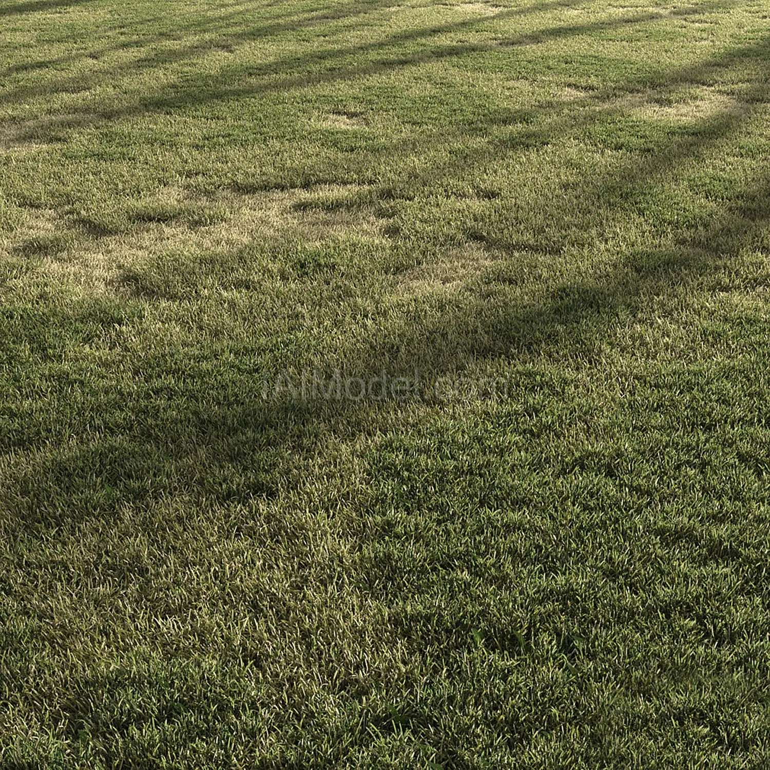 img2