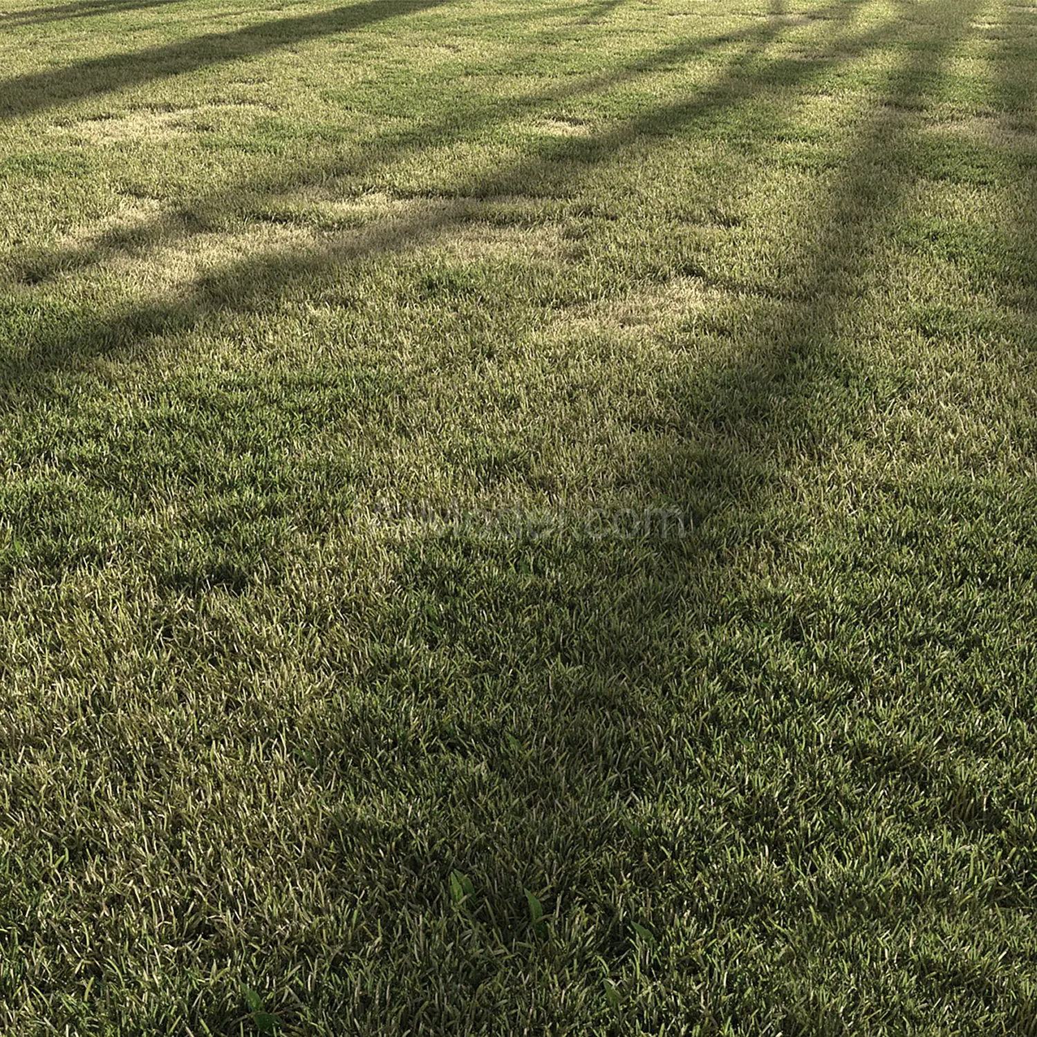 img5