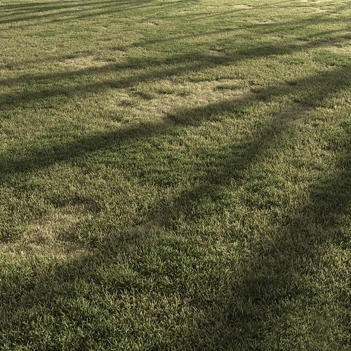 现代草地