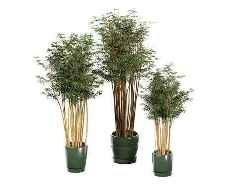 新中式竹子植物盆栽