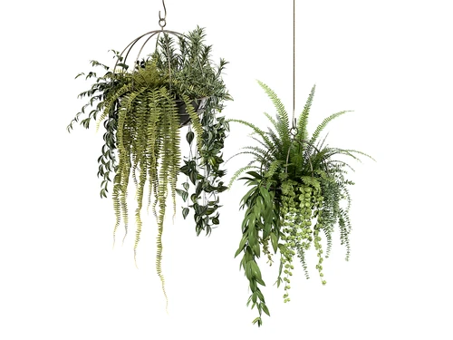 现代吊篮植物挂件