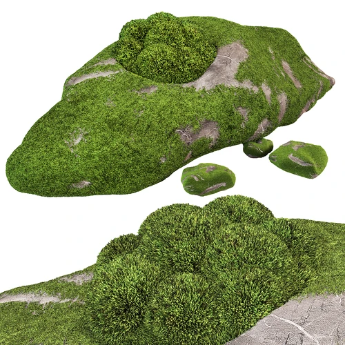 现代苔藓
