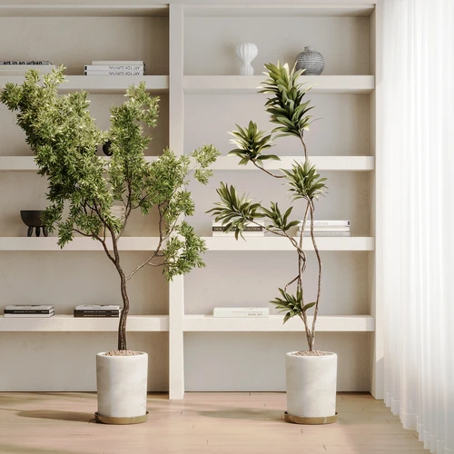 现代植物盆栽组合