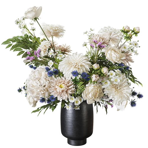现代花卉