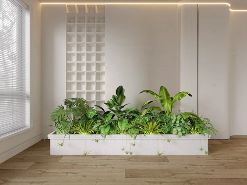 现代植物堆