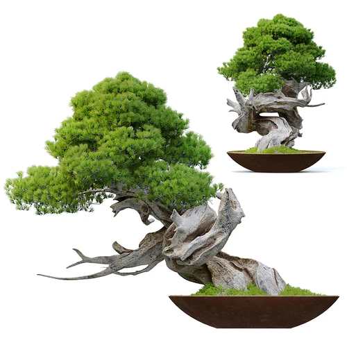 新中式植物盆栽