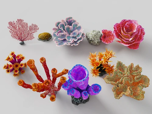珊瑚海底生物