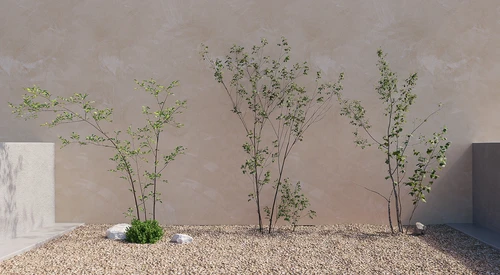 植物树绿植