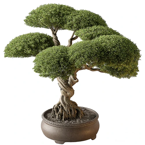 现代盆栽