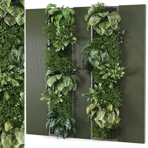 现代植物墙