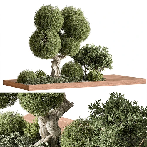 现代植物景观