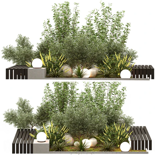 现代植物景观