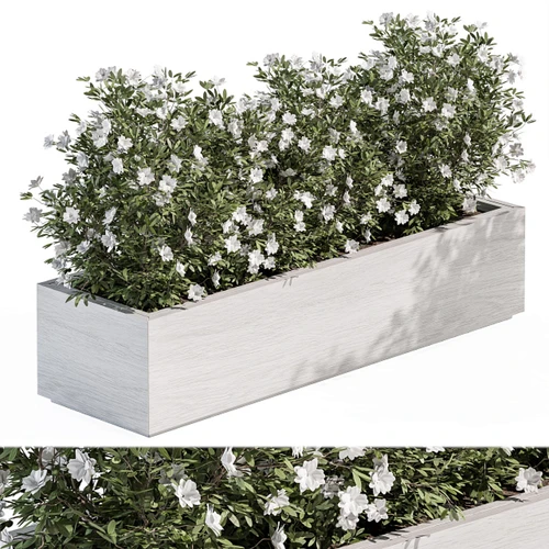 现代花箱
