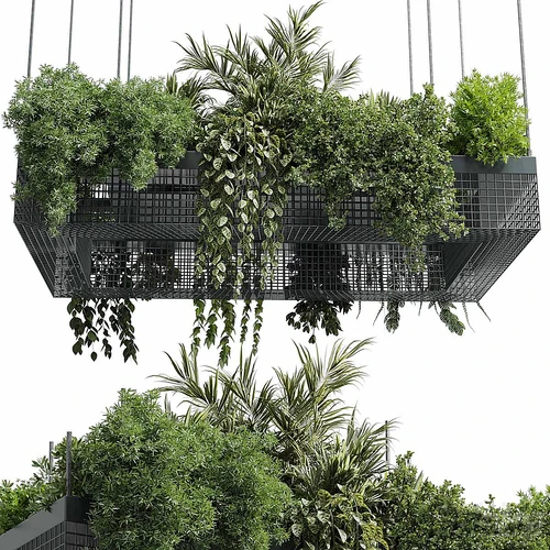 现代绿植吊篮