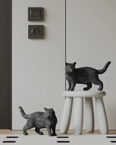 现代猫