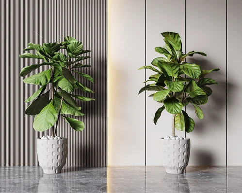 现代绿植盆栽