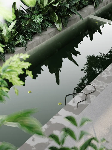 现代别墅庭院泳池