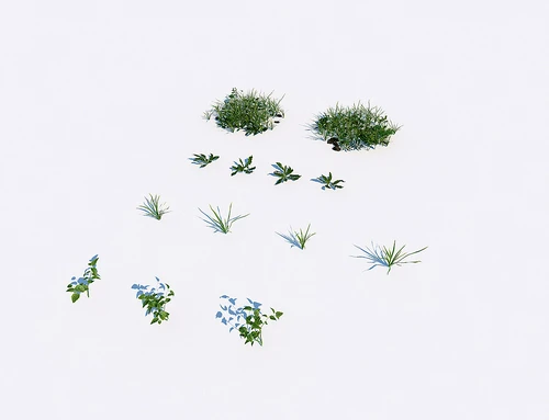 草