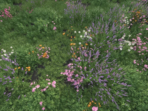 花草