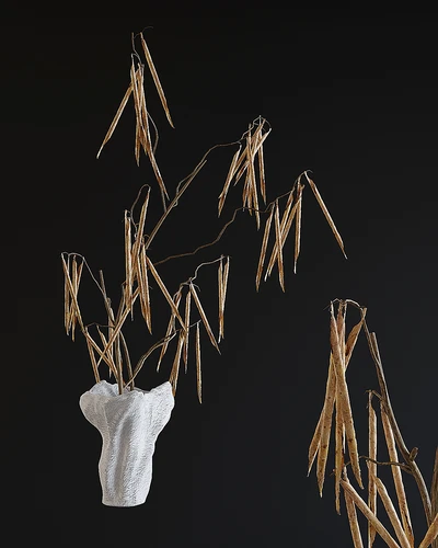 现代植物摆件