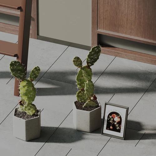 现代仙人掌花瓶