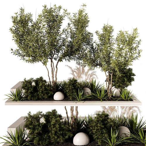 现代植物景观