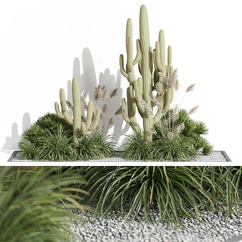 现代植物景观