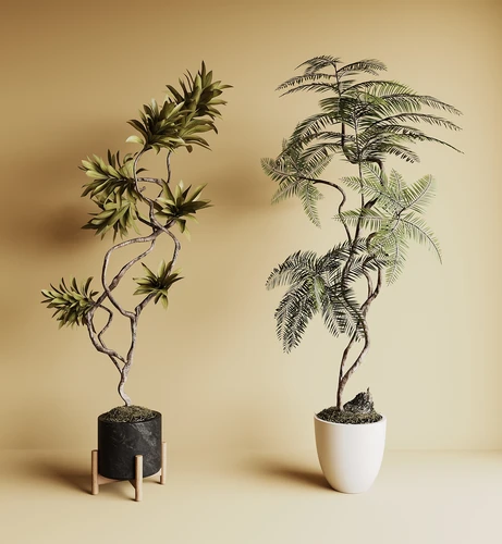 侘寂风绿植盆栽