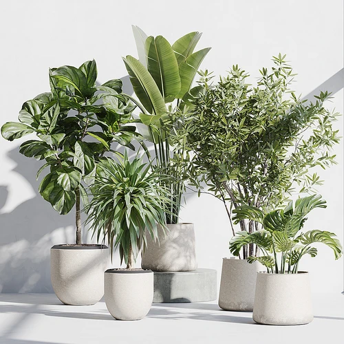 现代植物盆栽组合