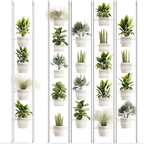 现代植物架
