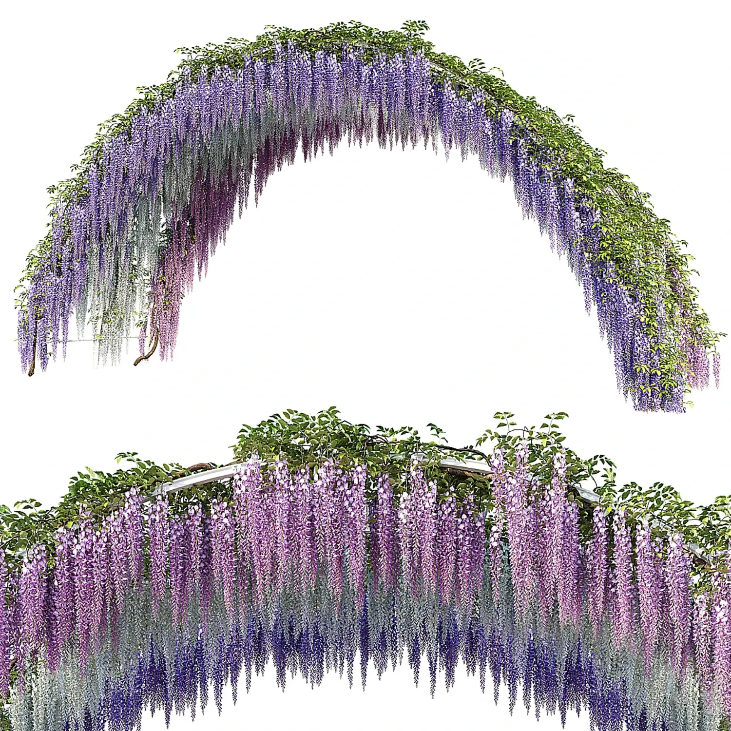 img1