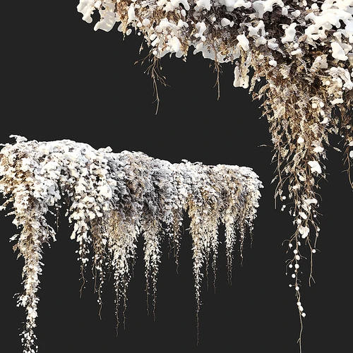 现代户外雪景植物